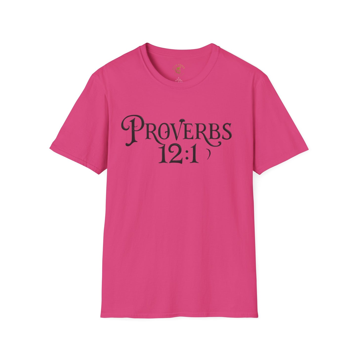 Proverb 12:1 Roar Ember T-shirt