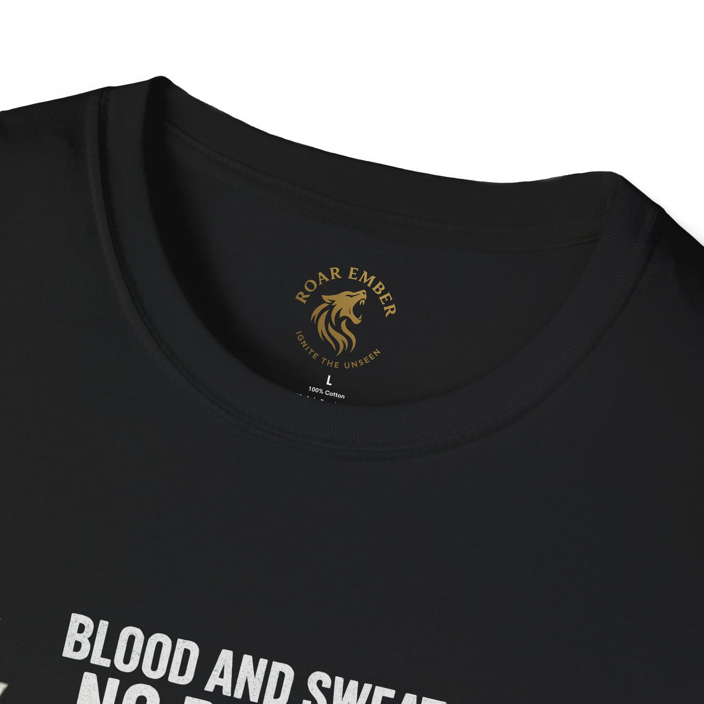 Blood and Sweat No Regret T-Shirt — Weightlifting Gym Tee